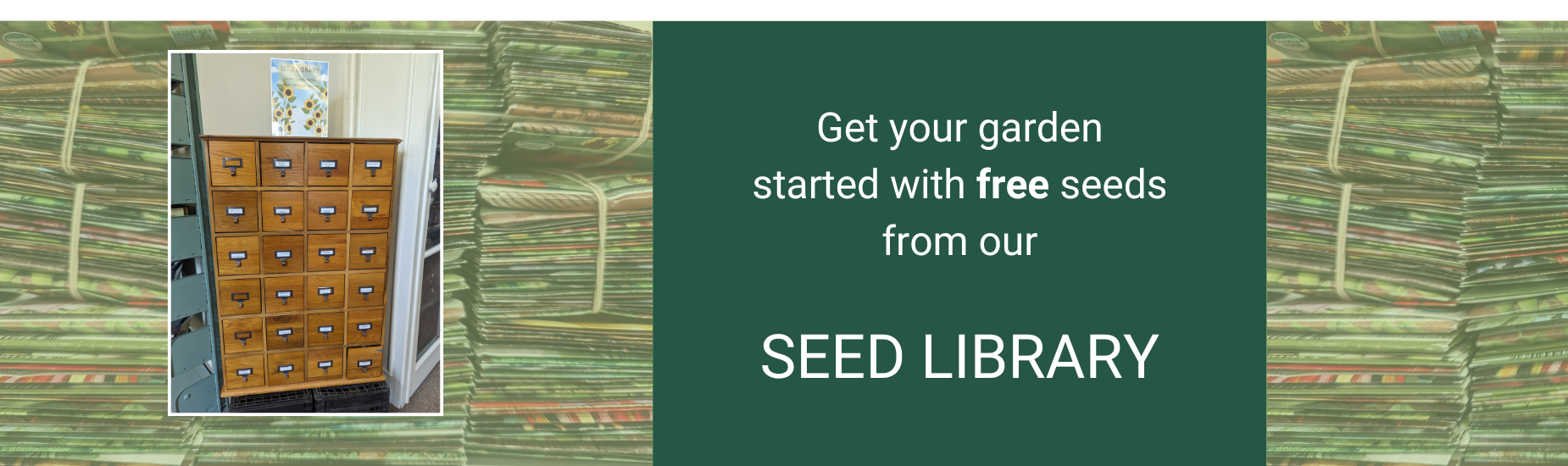 Free garden seeds at the library